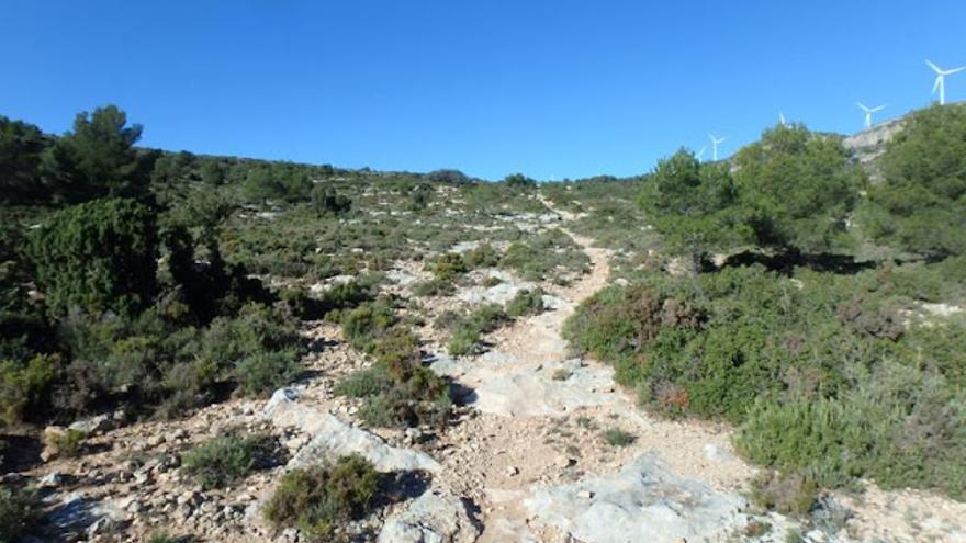 Hoya de las Caleras, con la senda que sigue el curso de la Colada de Monleón.