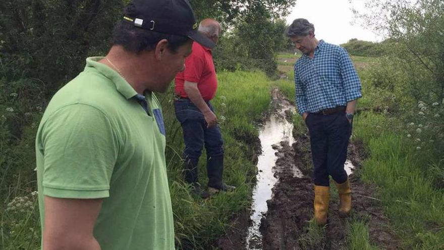 Juan Otero y José Cacabelos, ambos en segundo plano, observan un camino rural a mejorar. // Muñiz