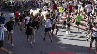 Un segundo encierro limpio en las Fiestas de Moratalla