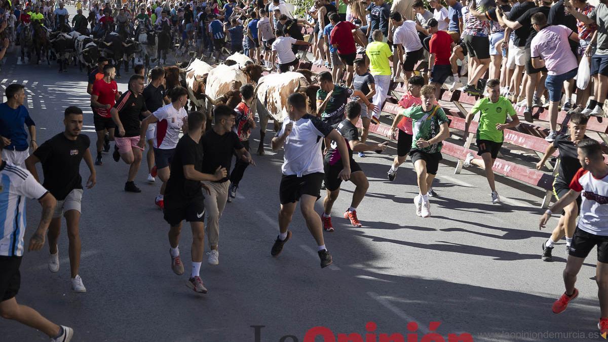 Segundo encierro de las Fiestas de Moratalla