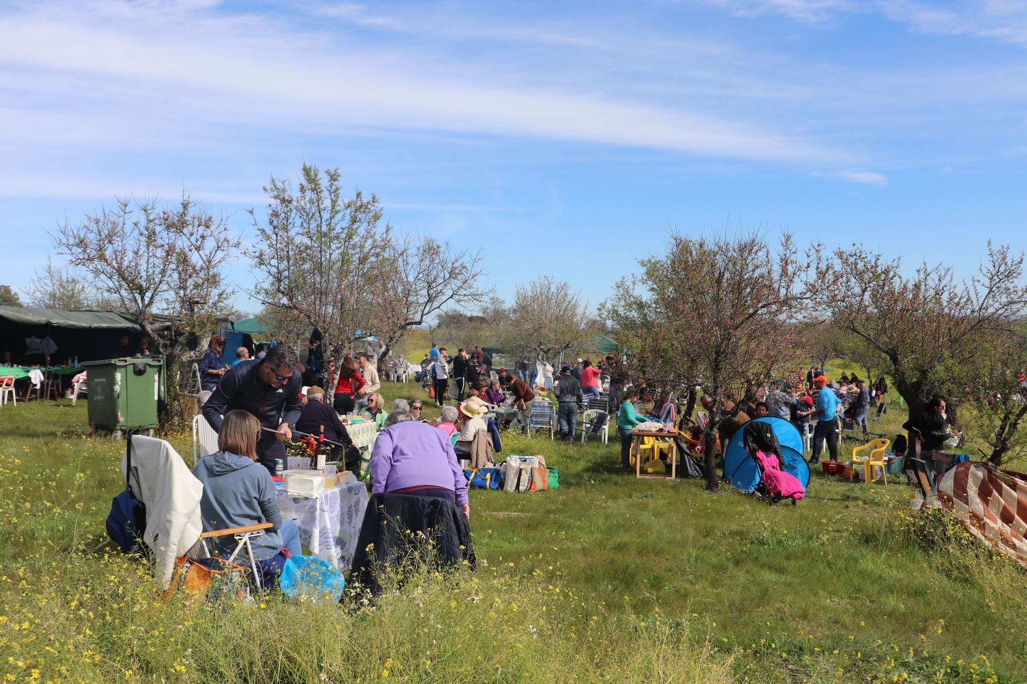 El Almendro en Flor reúne a 2.000 participantes en el paraje Gallito