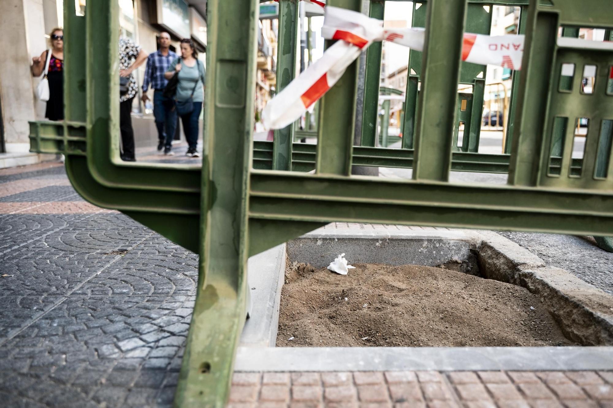 Obras para la plantación de árboles en Antonio Hurtado