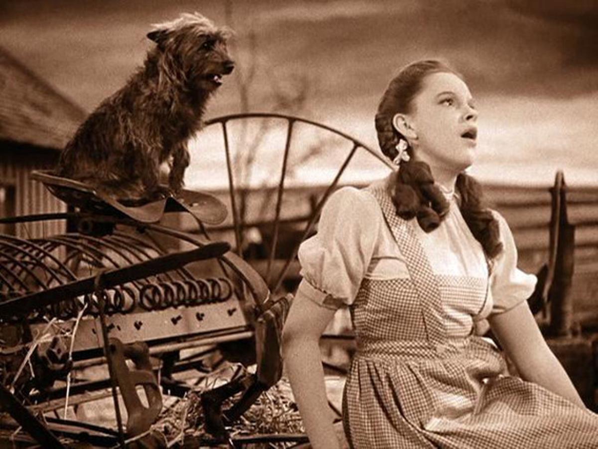 Judy Garland, amb el vestit subhastat, en una escena d’’El màgic d’Oz’.