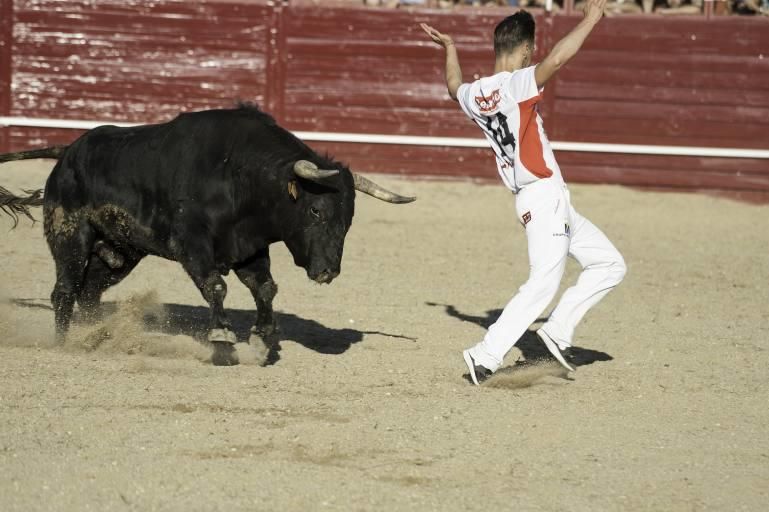 Concurso de cortes en la Plaza de Toros de Benaven