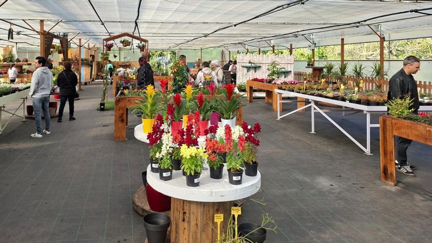 Satisfacción en San Xulián con el nuevo Botánico de Castiñeiras