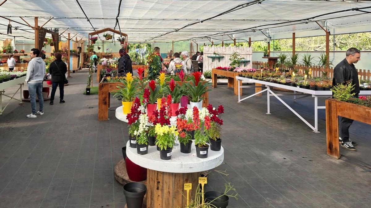Zona interior del recinto.