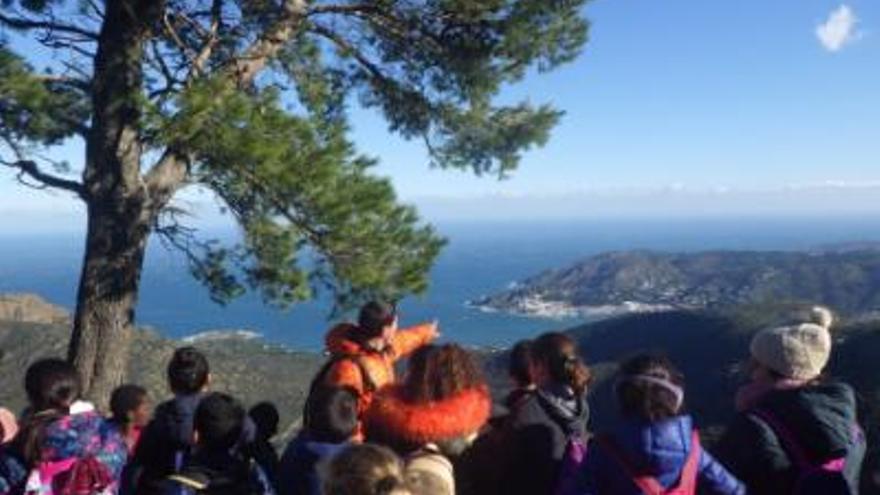 El Parc Natural de Cap de Creus enllesteix el Pla d&#039;educació i voluntariat