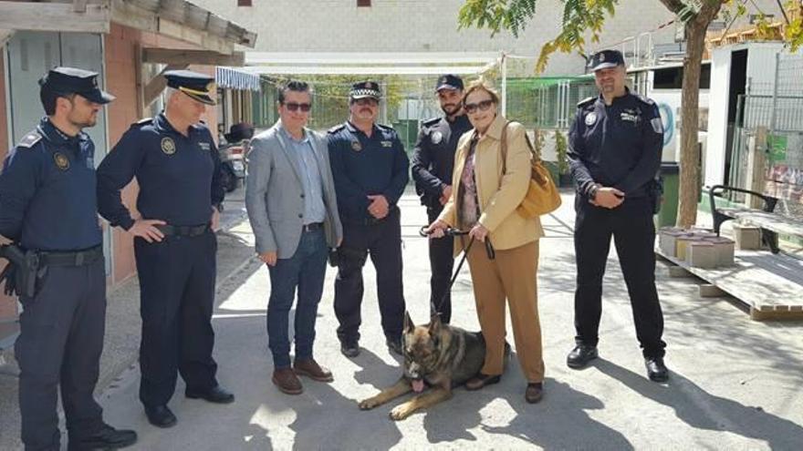 Nuevo perro policía contra las drogas en Onil