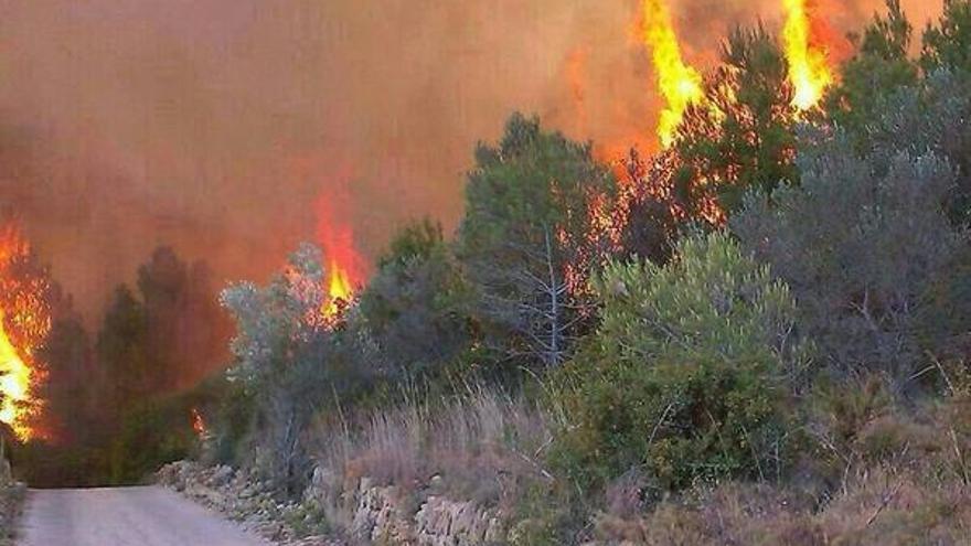Las llamas en el incendio del Montgó en Dénia.