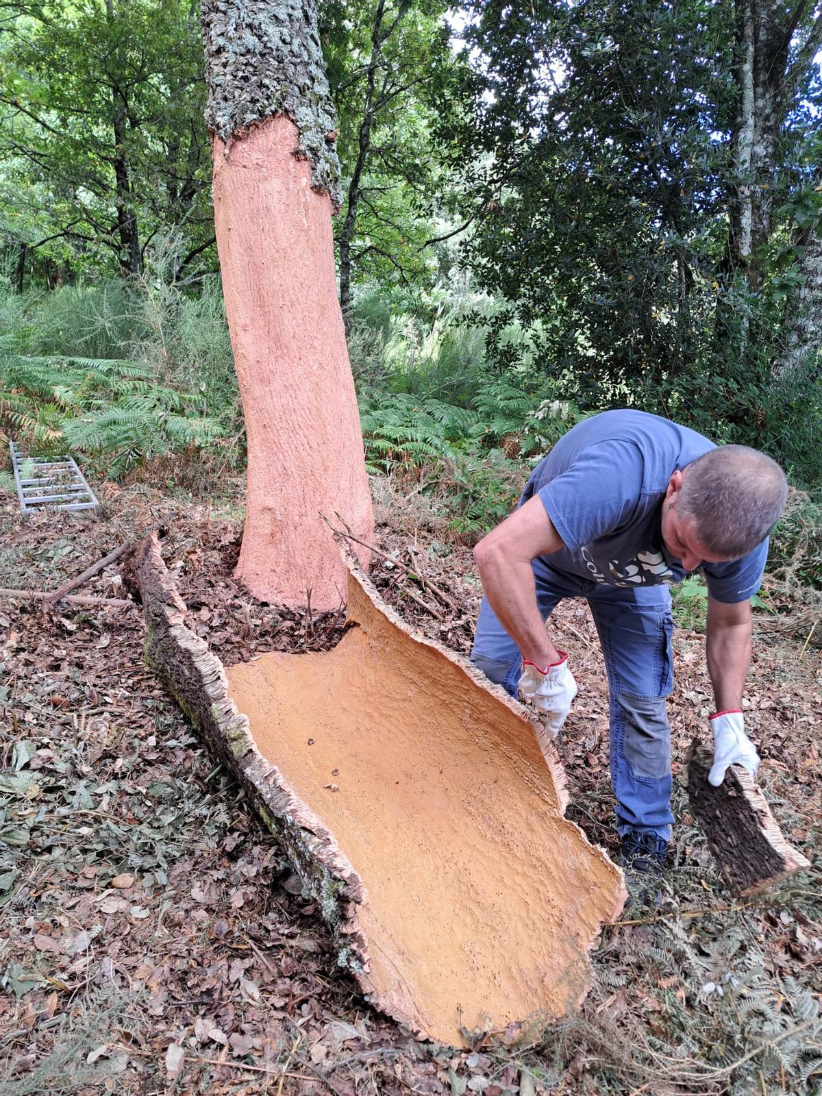 El último descorchador de O Deza El último descorchador de O Deza