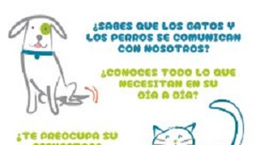 ¿Quieres aprender sobre comunicación canina y felina?