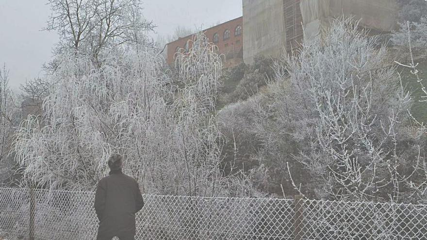 Benavente sigue blanca por la niebla congelada