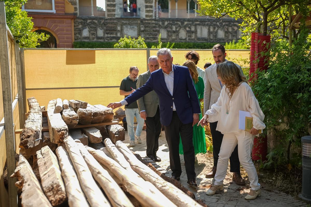 Las obras de restauración del Cenador de Carlos V, en imágenes