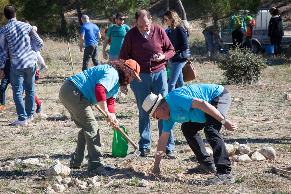 Ibi celebra su tradicional Día del Árbol