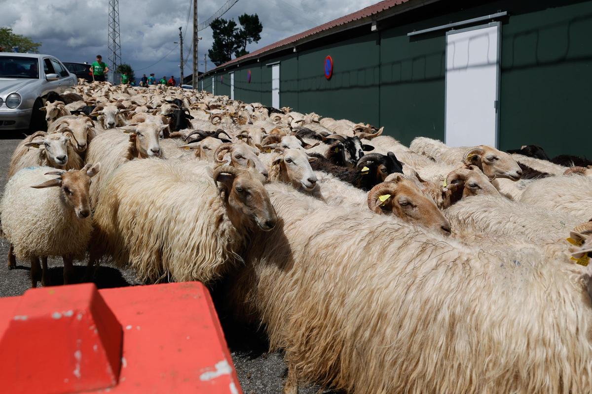 La feria de San Isidro, en imágenes