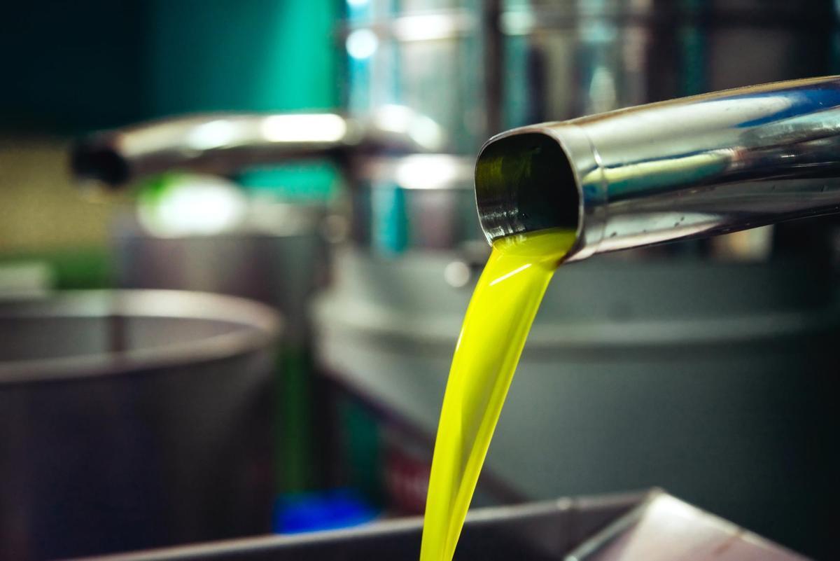 El aceite de oliva es uno de los productos fundamentales de la dieta mediterránea.