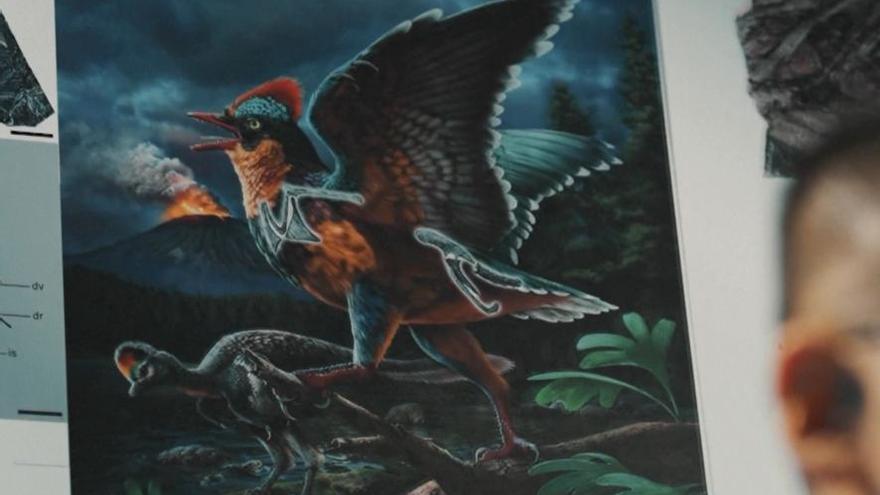 El descubrimiento de fósiles jurásicos en el este de China aporta nueva luz sobre el origen de las aves