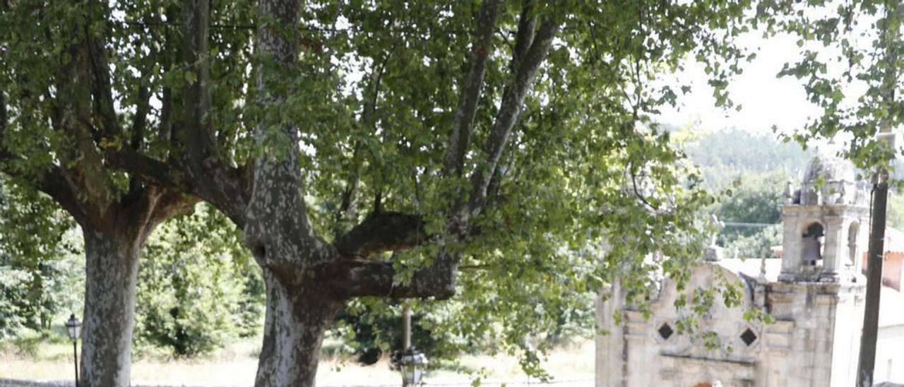 La tala con la iglesia de Darbo al fondo   | // FDV