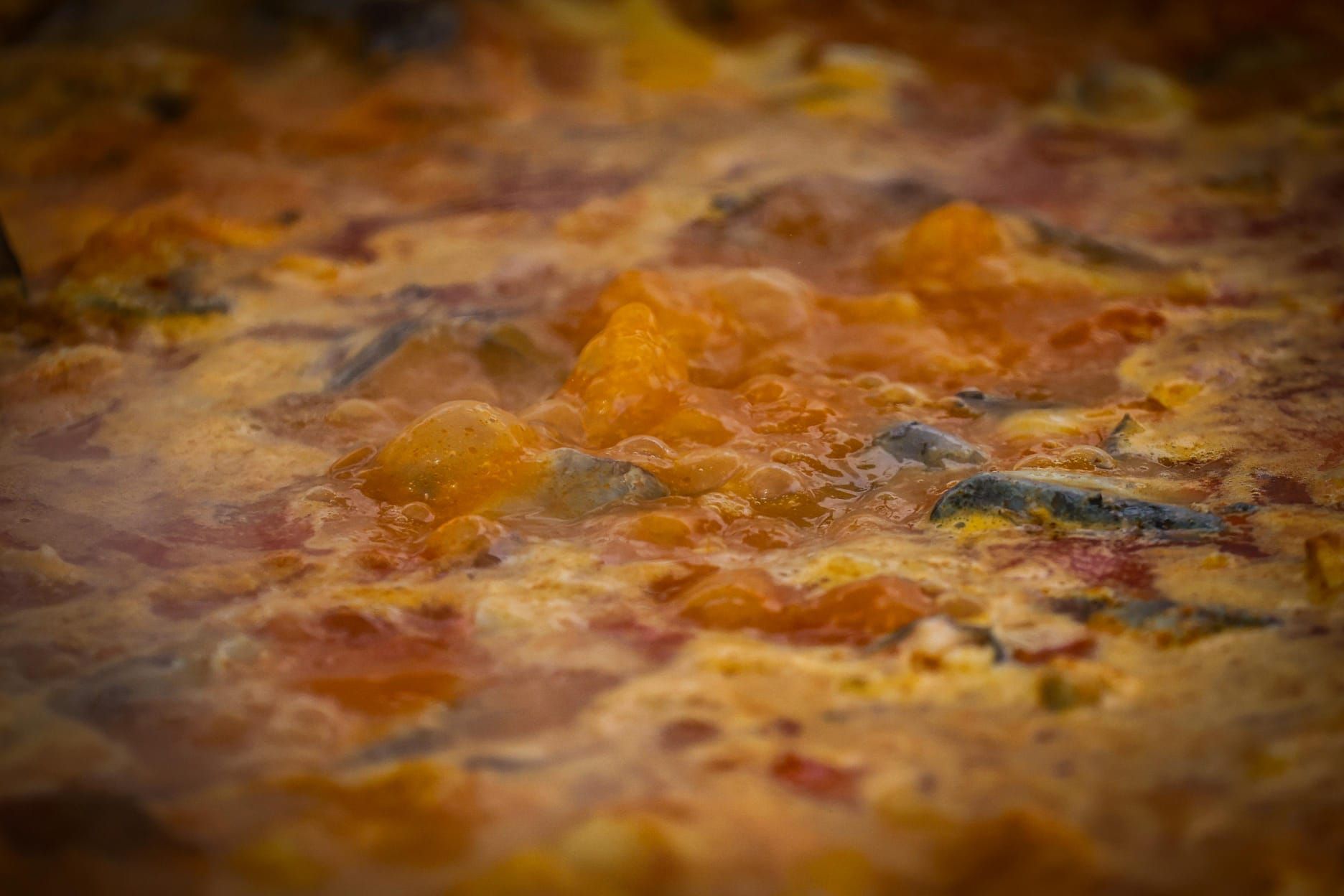 Catarroja celebra el LIII Concurso Internacional de Allipebre