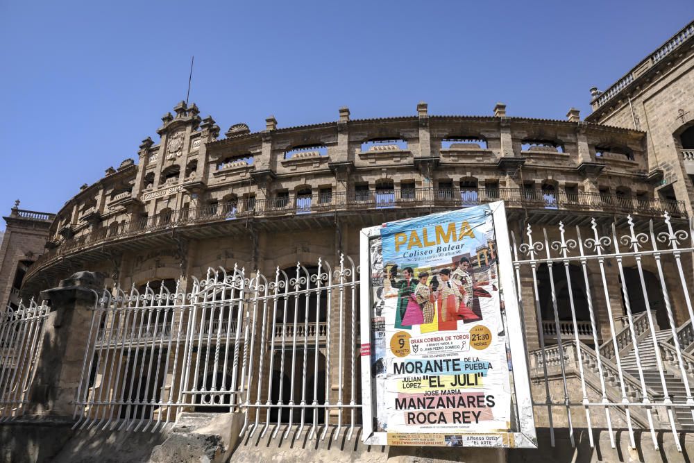 Llegan los toros para la corrida  del 90 aniversario del Coliseo balear