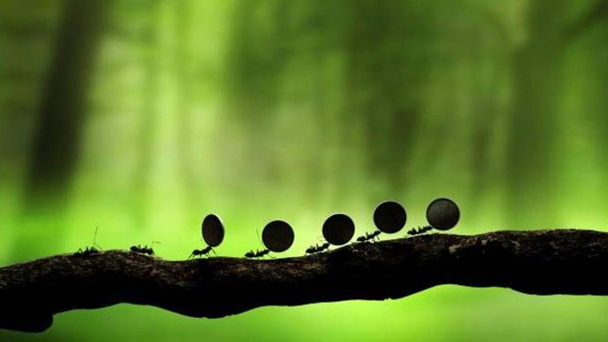 ants carrying money 3D renderin