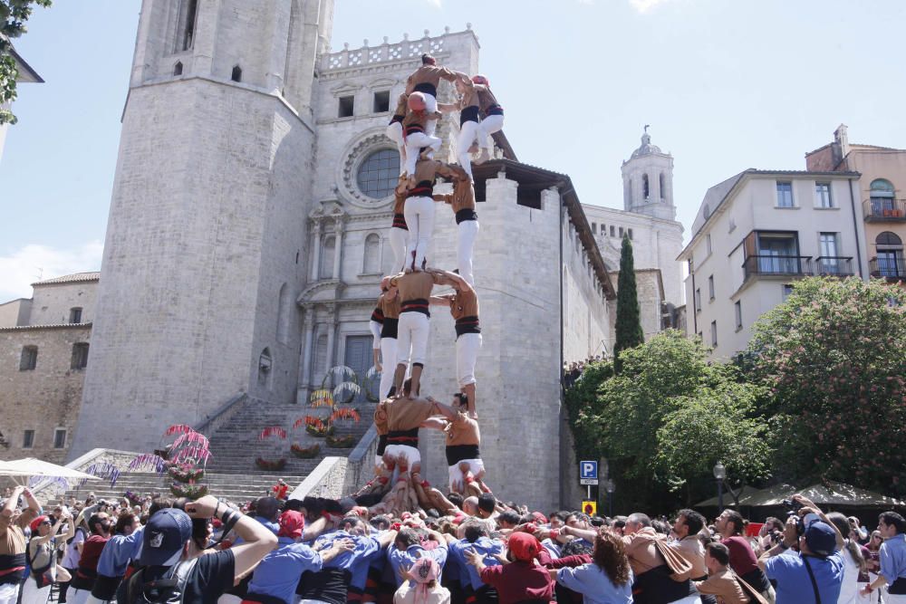 Primer diumenge de Temps de Flors