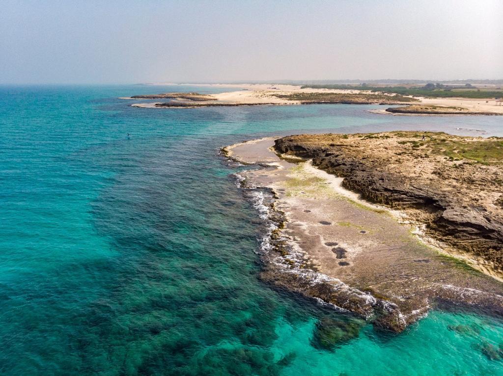 Dor Habonim, Israel