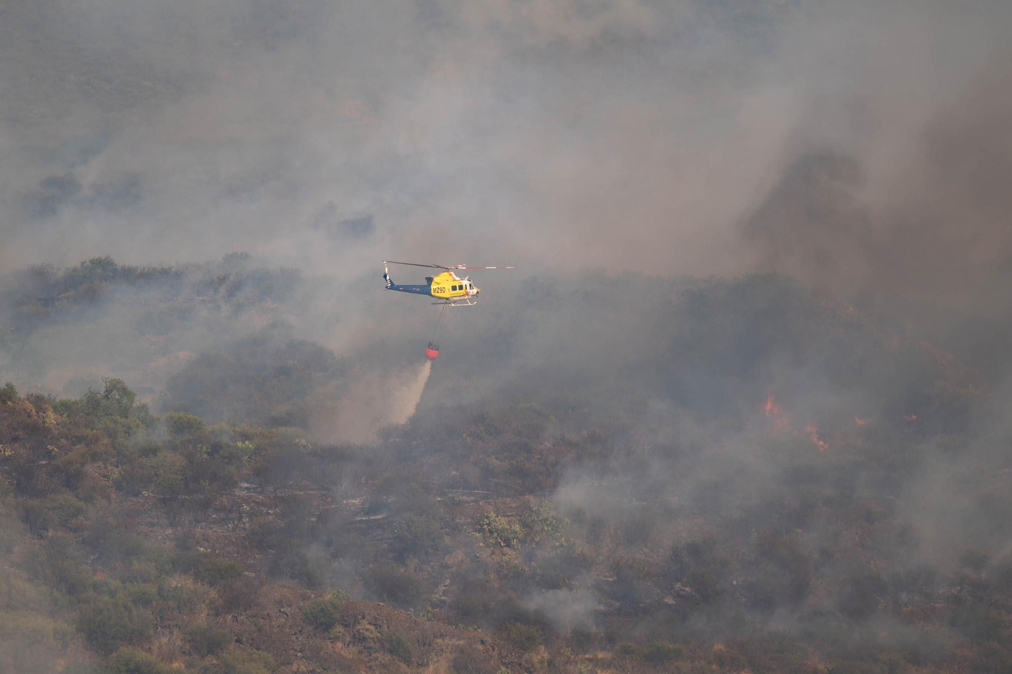 Imágenes del incendio declarado en El Tanque