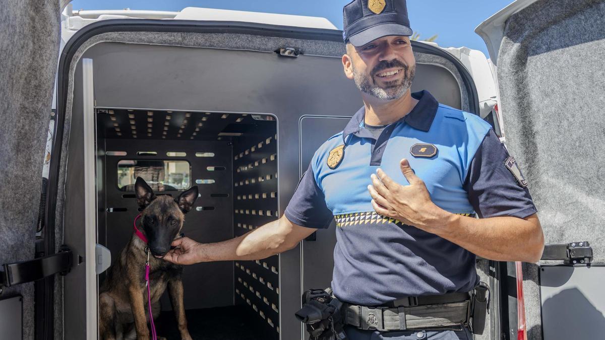 Xena en el vehículo de la Unidad Canina K-9, junto a su instructor, el agente David Suárez.