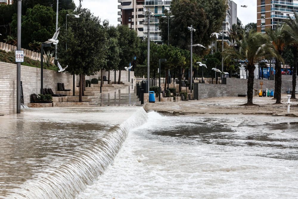 La arena de la playa de la Albufereta ha desaparecido a causa del temporal.