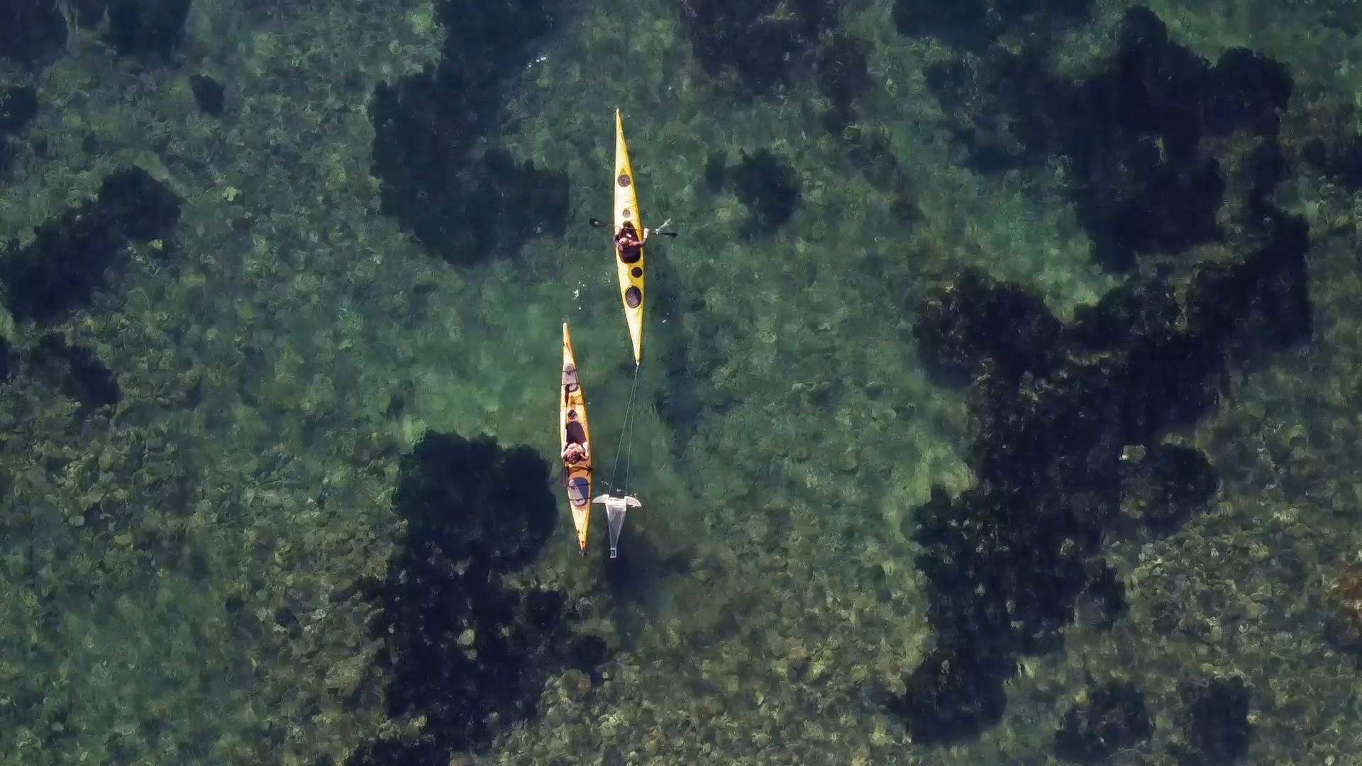 La concentració més baixa de microplàstics s'ha trobat a la costa de Llançà