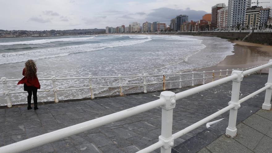 La &quot;curiosa&quot; familia que sorprendió a los bañistas no se va de la playa de San Lorenzo: siguen deleitando con sus paseos en Gijón