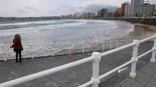 La "curiosa" familia que sorprendió a los bañistas no se va de la playa de San Lorenzo: siguen deleitando con sus paseos en Gijón
