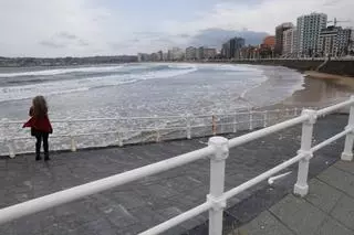 La "curiosa" familia que sorprendió a los bañistas no se va de la playa de San Lorenzo: siguen deleitando con sus paseos en Gijón