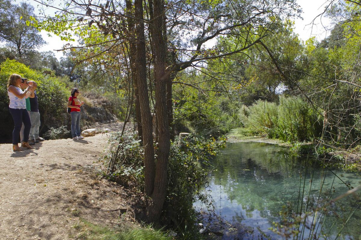 Nacimiento del río Vinalopó.