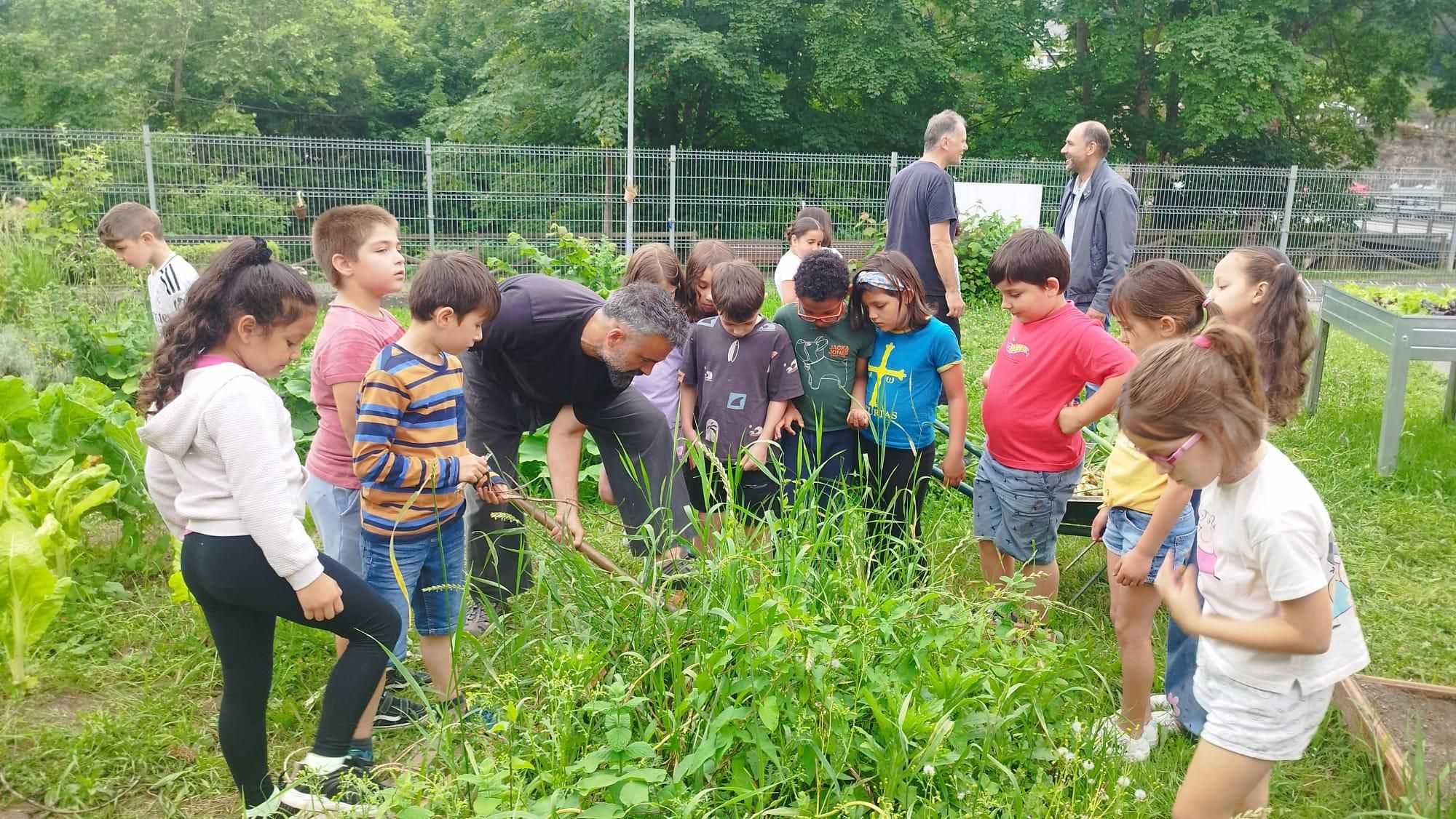 Medalla de Innovación para el huerto escolar del CEIP L'Ablanu de Infiesto