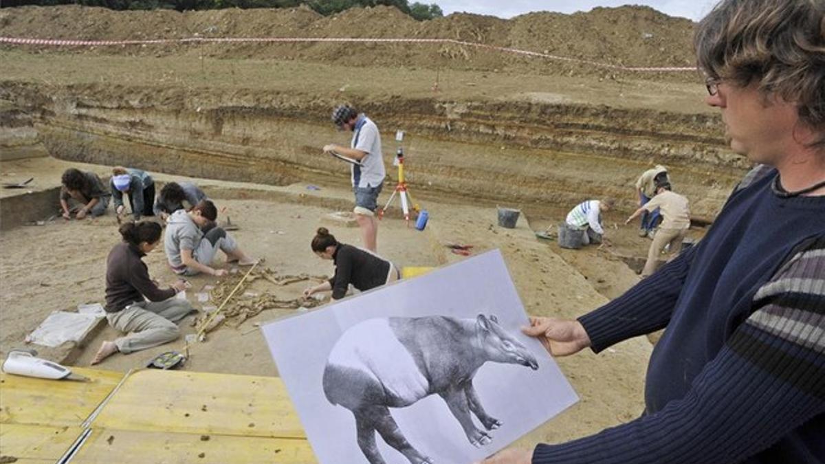 Un responsable de la excavación muestra la imagen de un tapir como el encontrado en el yacimiento y que se aprecia a la izquierda de la fotografía