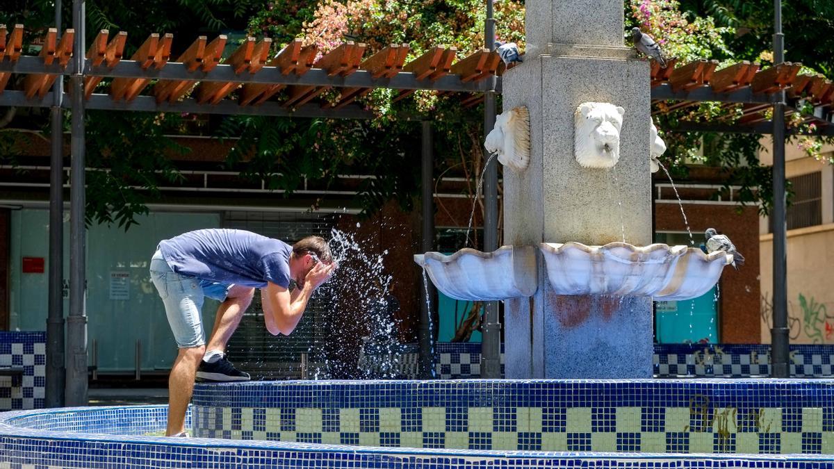 Las altas temperaturas de este verano suman y siguen en la provincia de Alicante.