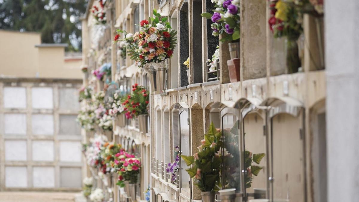 Ofrenes florals a les tombes del cementiri municipal de Girona.  | MARC MARTÍ