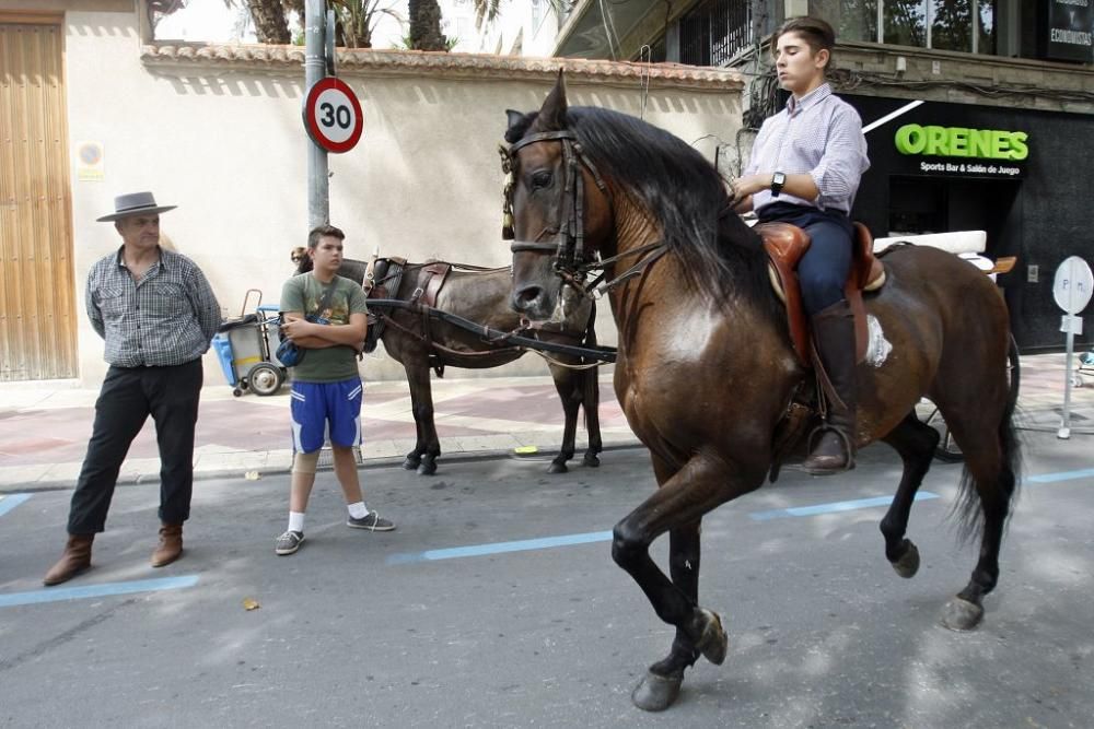 Día del Caballo en Alfonso X