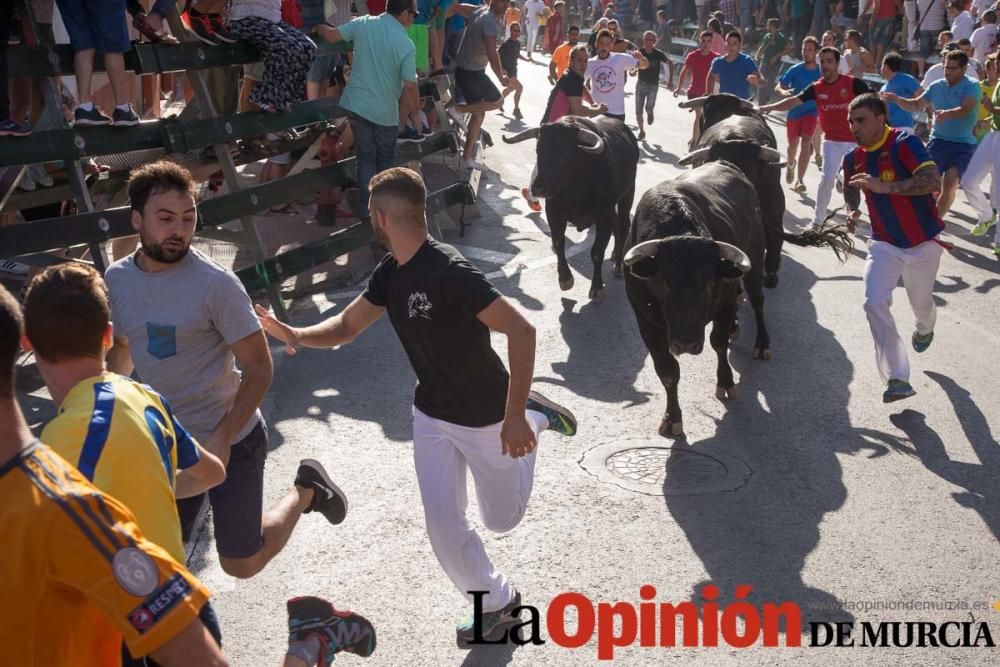 Primer encierro de Calasparra