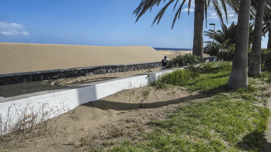 El Cabildo asumirá el traslado de la arena de las dunas a Playa del Inglés