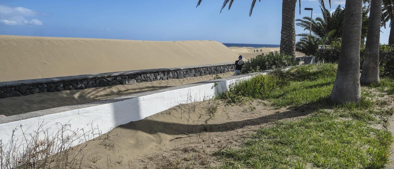 Imagen de archivo de una duna de gran altura junto al paseo Costa Canaria de Playa del Inglés hace tres semanas.