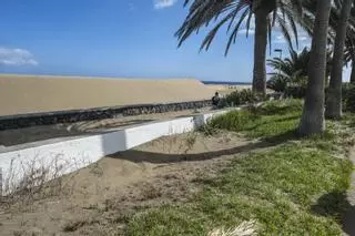 El Cabildo asumirá el traslado de la arena de las dunas a Playa del Inglés