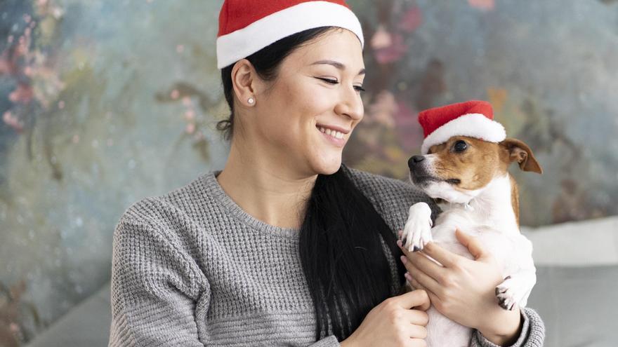 ¿Tienes mascotas en casa esta Navidad? Los consejos que debes seguir sí o sí para unas fiestas seguras