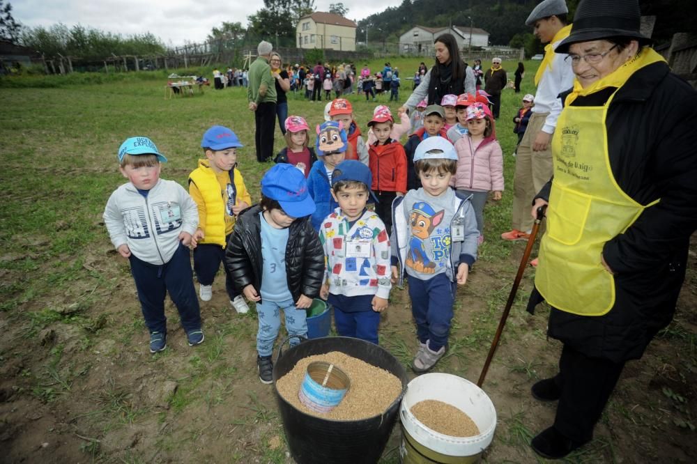 "Sementeira", una asignatura en Valga