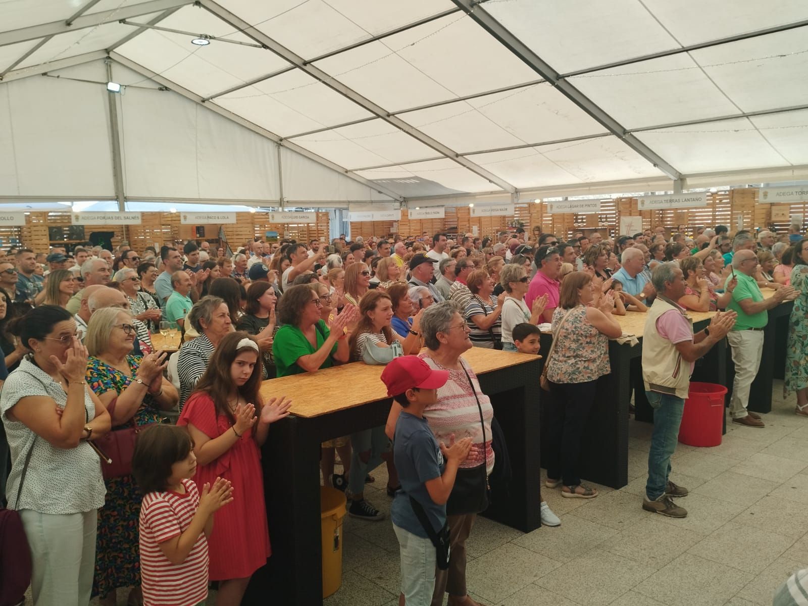 Asistentes a los actos de la Festa do Viño de Meaño.