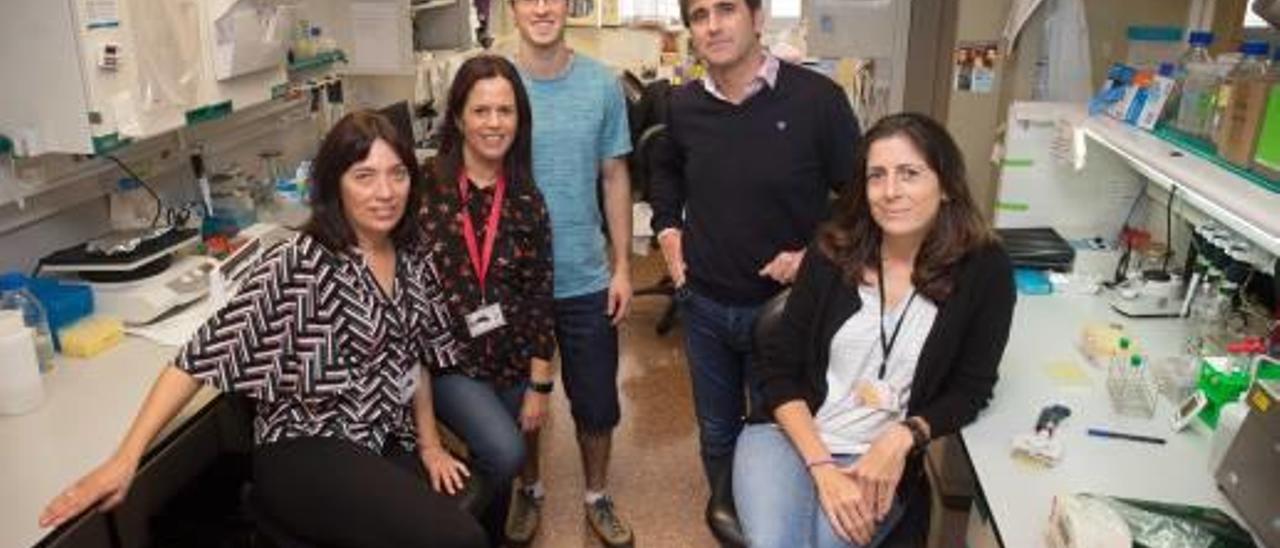 Parte del equipo dedicado al estudio del alzhéimer en la UMH dirigido por el profesor Javier Sáez.