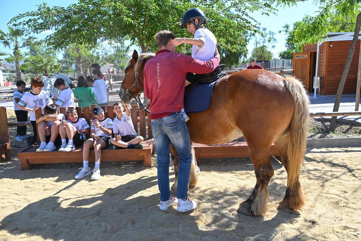 Los menores colaboran en actividades que se organizan con centros educativos en la finca.