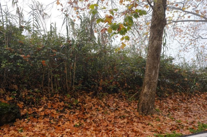 Fontanales, Moya.  Tiempo lluvia otoño  | 04/12/2019 | Fotógrafo: José Carlos Guerra